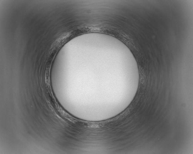 X0000080160740200701051605