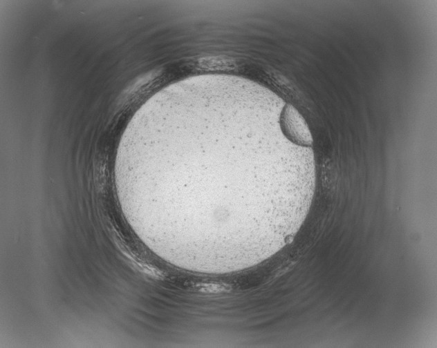 X0000080160741200701051605