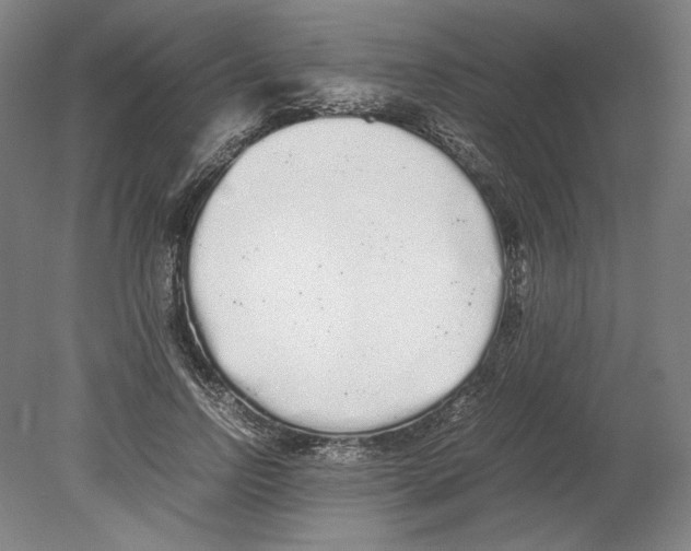 X0000080160742200701051605