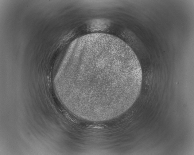 X0000080160743200701051605