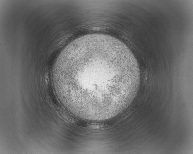 X0000080160746200701051605