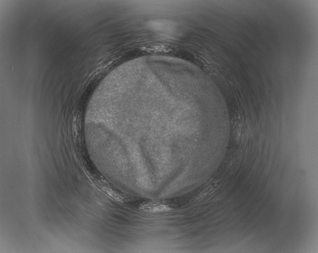 X0000080160747200701051605