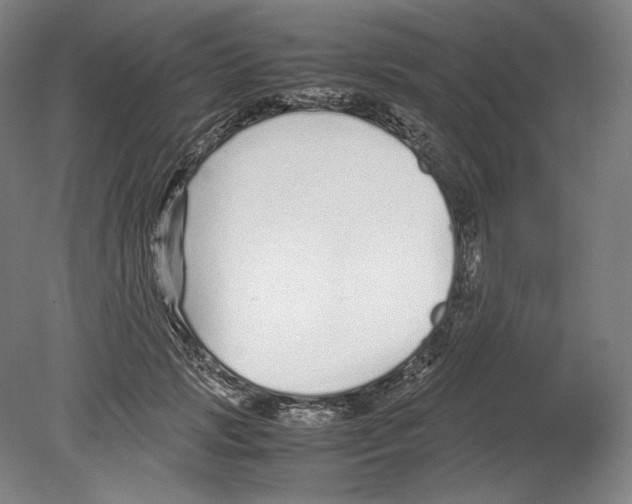 X0000080160749200701051605