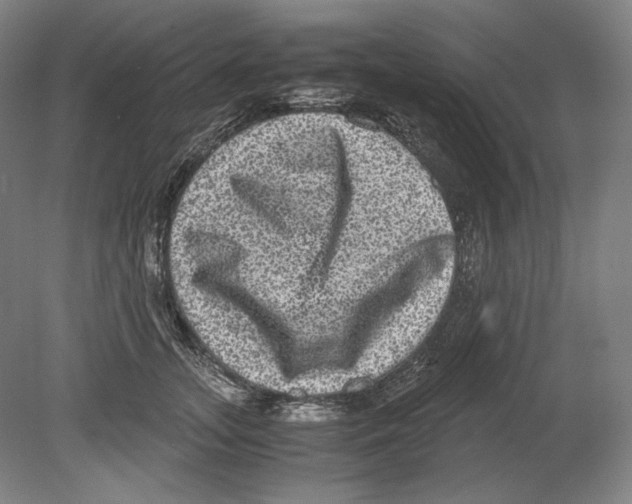 X0000080160755200701051605