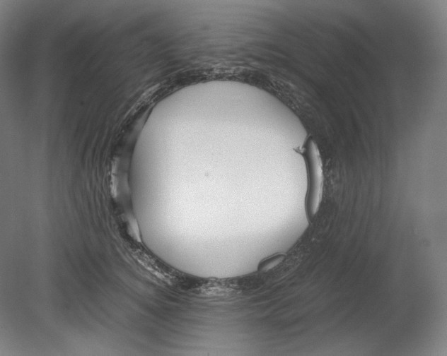 X0000080160756200701051605