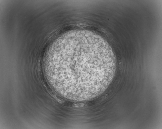 X0000080160757200701051605