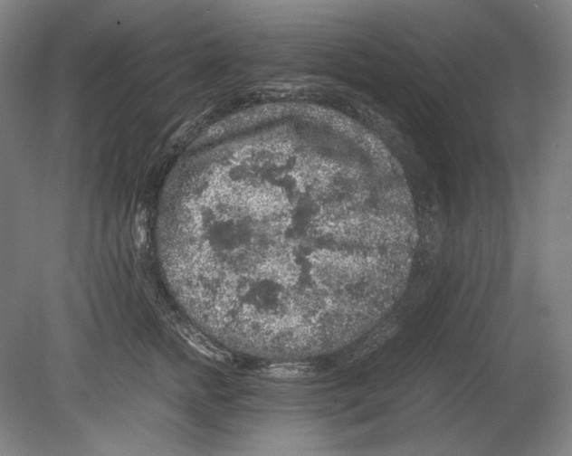 X0000080160758200701051605