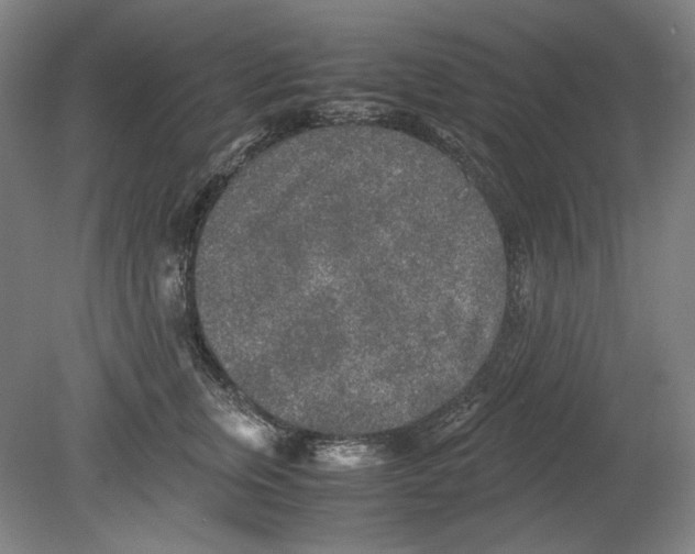 X0000080160759200701051605