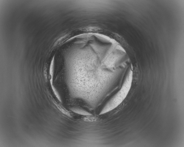 X0000080160762200701051605