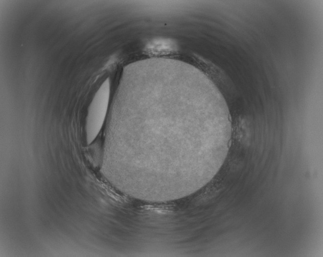 X0000080160763200701051605