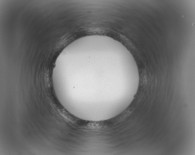 X0000080160764200701051605