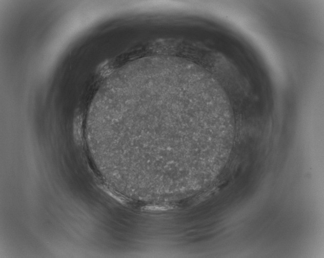 X0000080160765200701051605