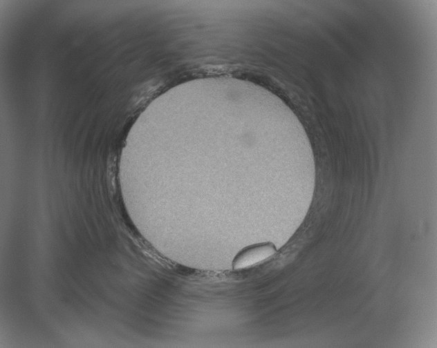 X0000080160768200701051605