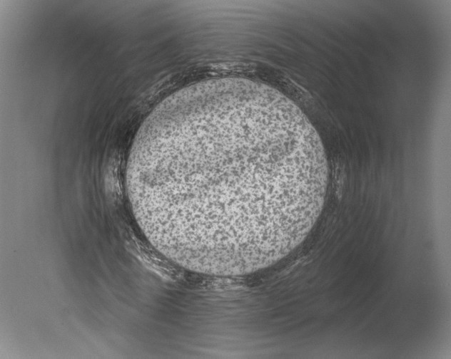 X0000080160770200701051604