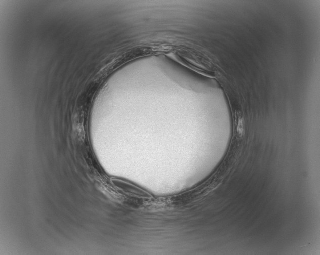 X0000080160771200701051604