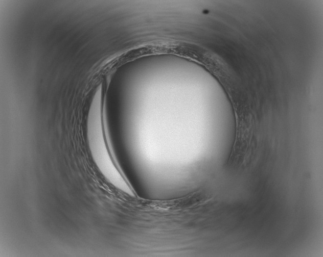 X0000080160773200701051604