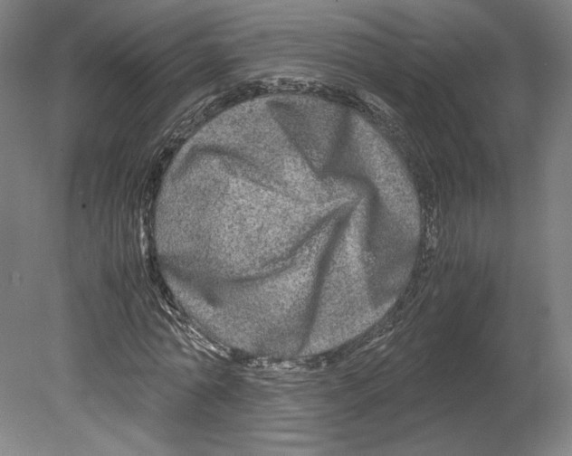 X0000080160774200701051604