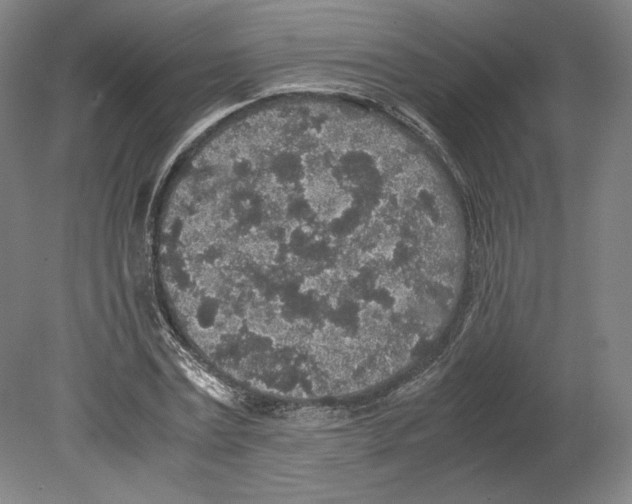 X0000080160779200701051604