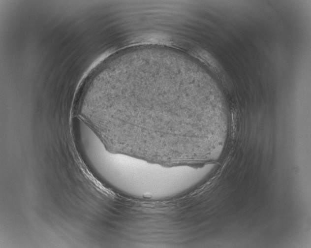 X0000080160780200701051604