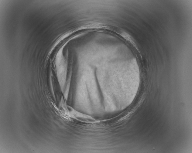 X0000080160781200701051604