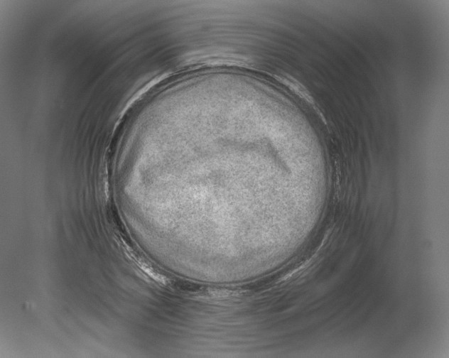 X0000080160782200701051604