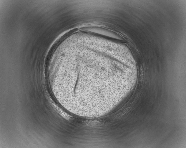 X0000080160784200701051604