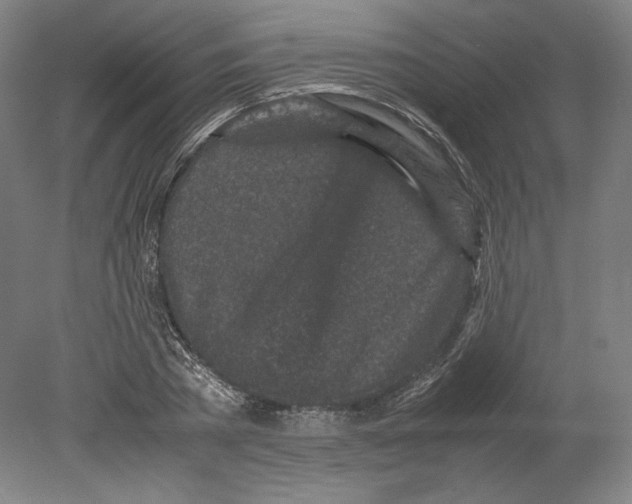 X0000080160785200701051604