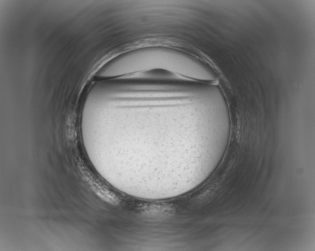 X0000080160786200701051604