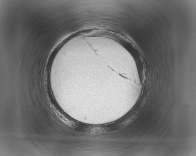 X0000080160787200701051604