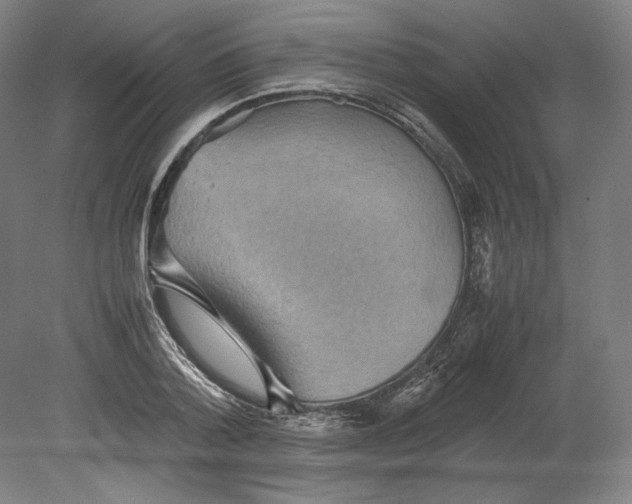 X0000080160788200701051604