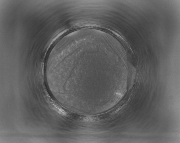 X0000080160790200701051604