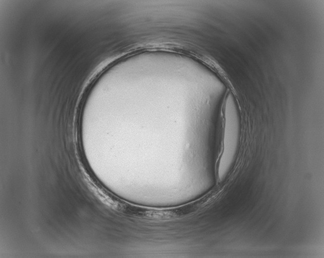 X0000080160795200701051604