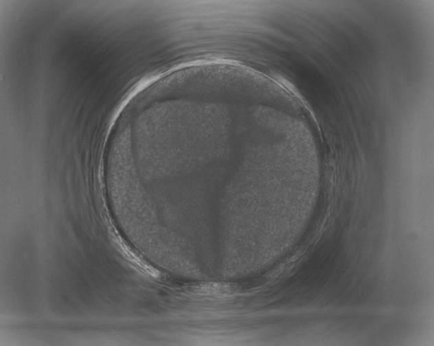 X0000080160797200701051604