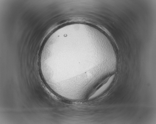 X0000080160799200701051604