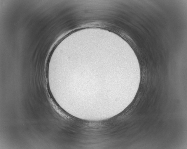 X0000080160800200701051604