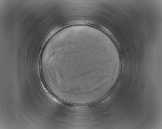 X0000080160802200701051604