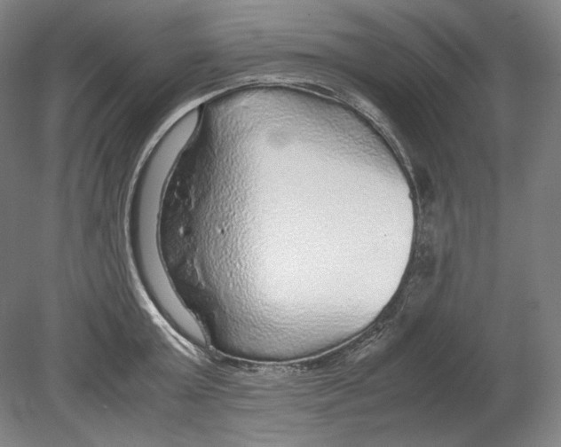 X0000080160803200701051604