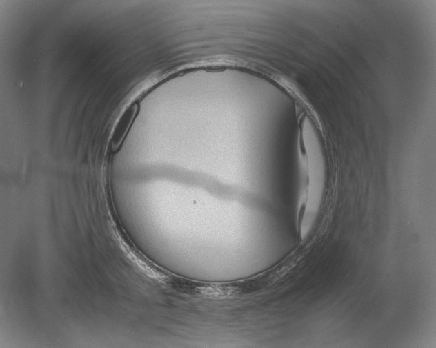 X0000080160805200701051604