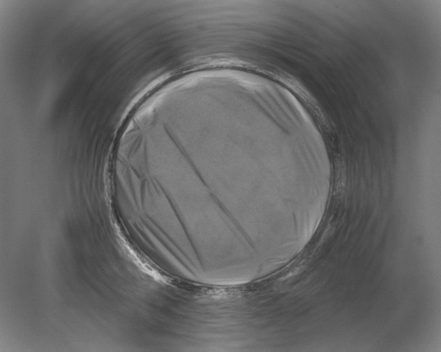 X0000080160806200701051604