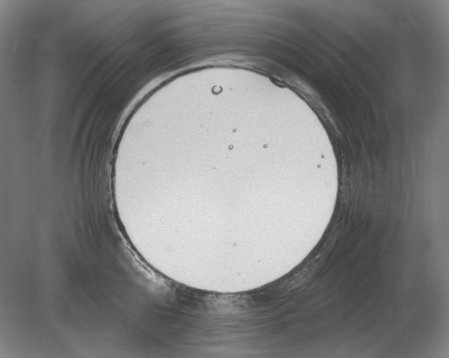 X0000080160808200701051604