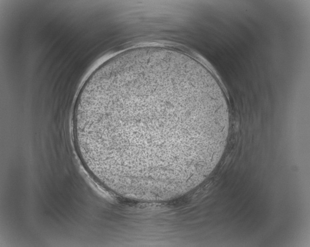 X0000080160811200701051603