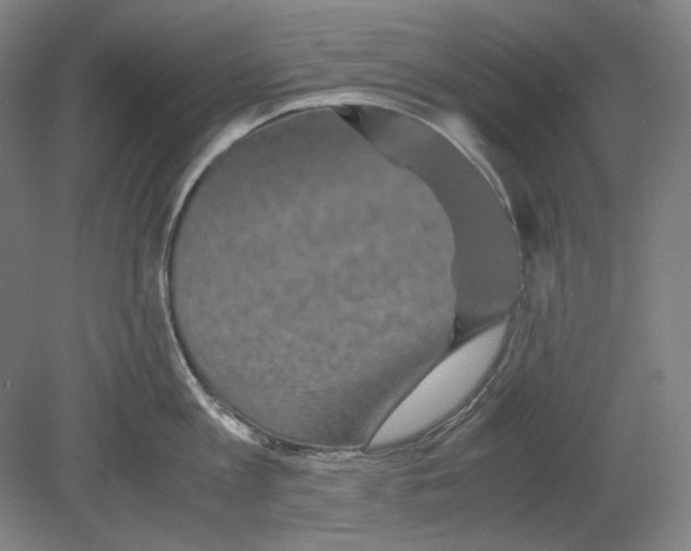 X0000080160813200701051603