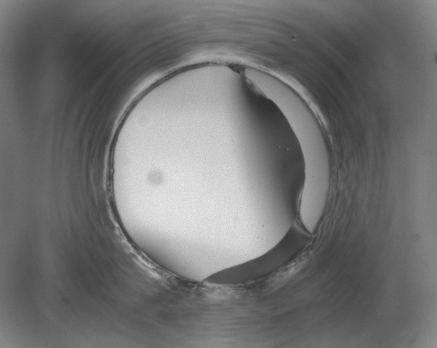 X0000080160815200701051603