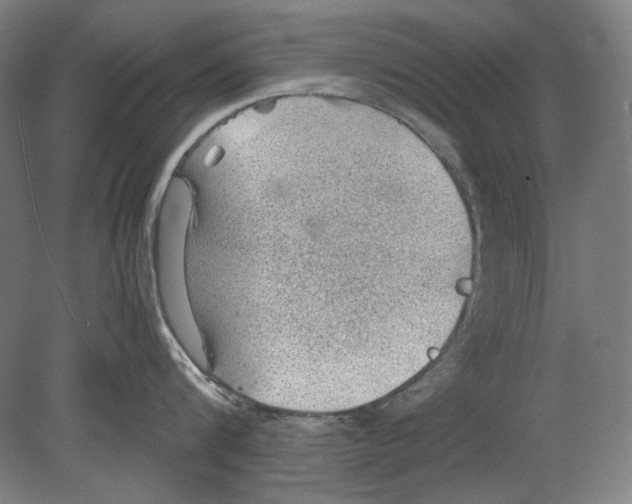 X0000080160816200701051603