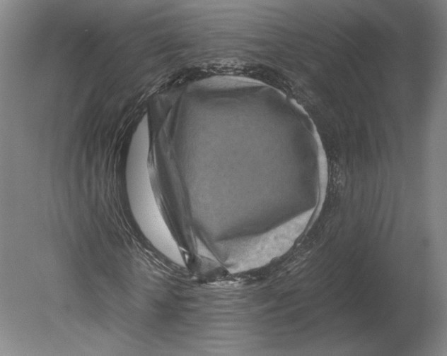 X0000080160818200701051603