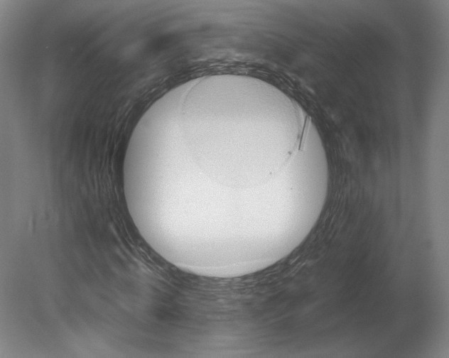 X0000080160820200701051603