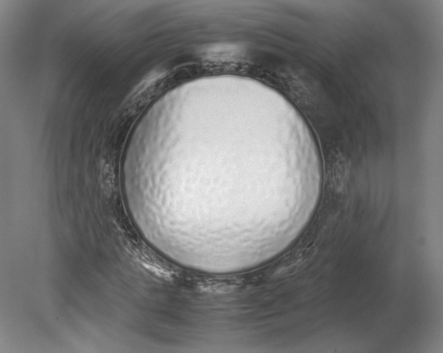 X0000080160821200701051603