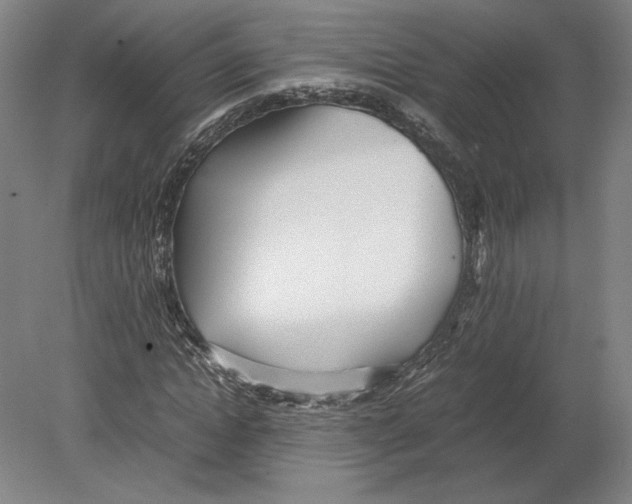 X0000080160822200701051603