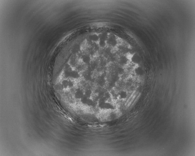 X0000080160823200701051603