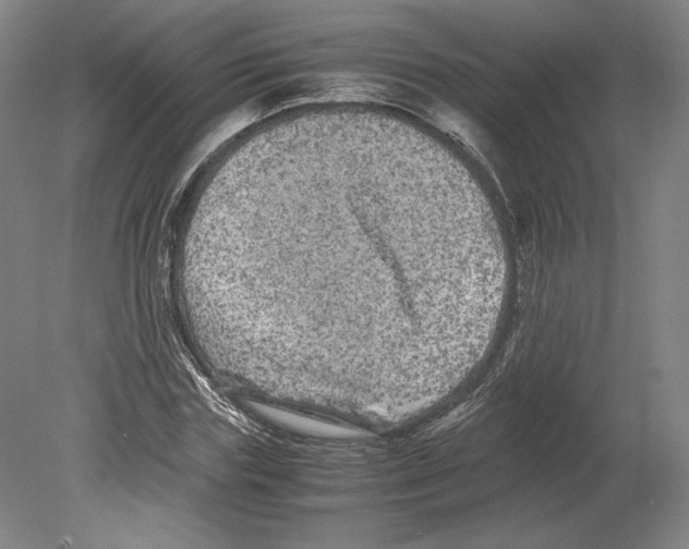 X0000080160827200701051603